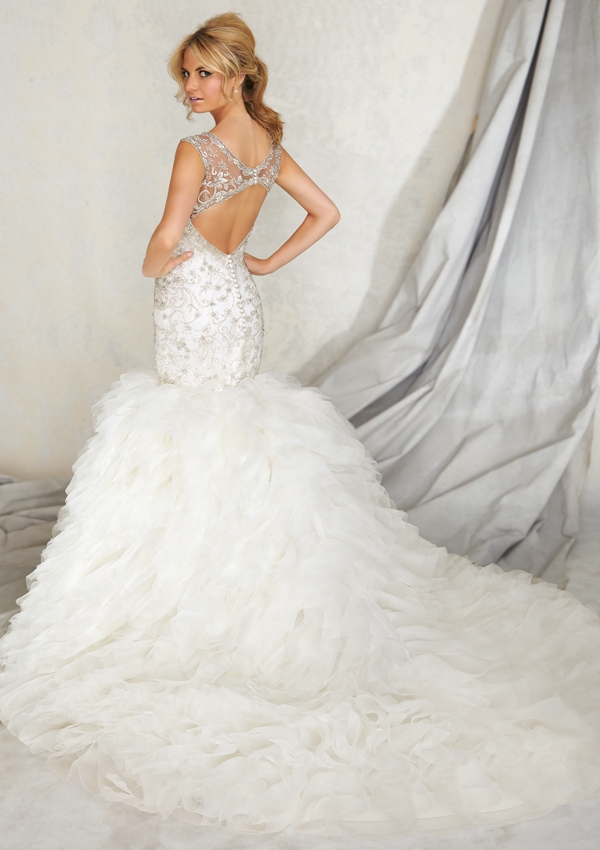 Choose Your Dream Wedding Dress Guide