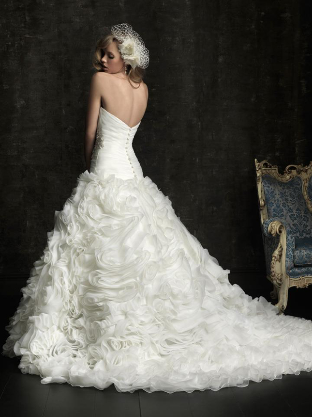 Choose Your Dream Wedding Dress Guide