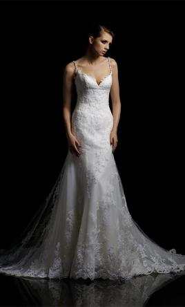 Choose Your Dream Wedding Dress Guide