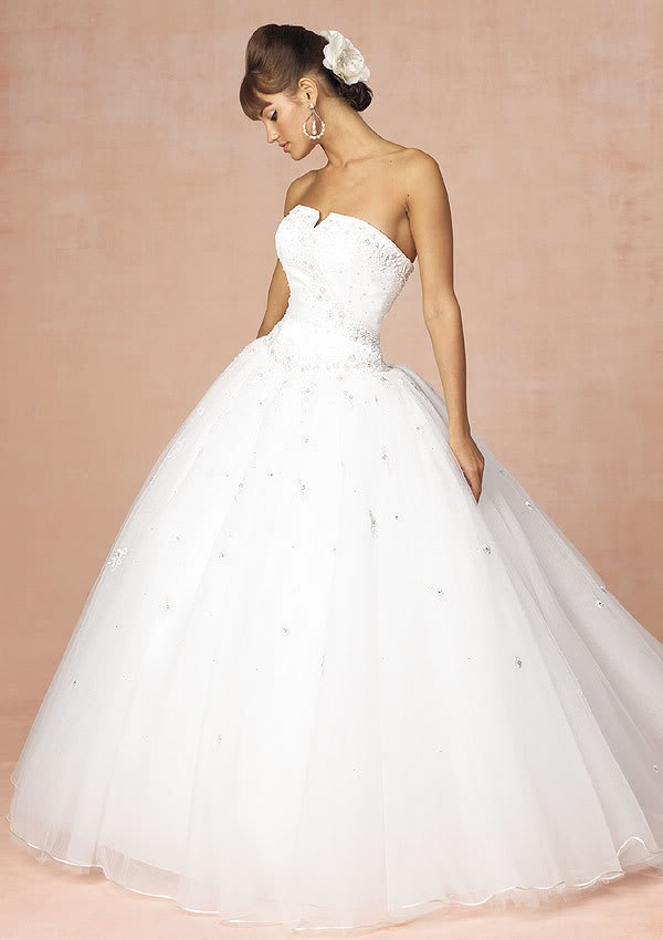 Choose Your Dream Wedding Dress Guide