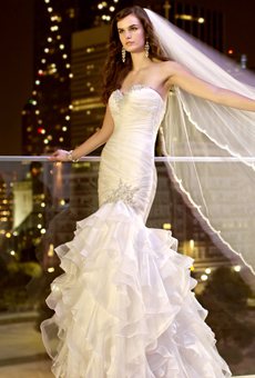 Choose Your Dream Wedding Dress Guide