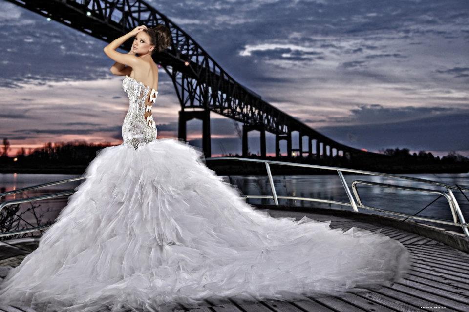 20 Mesmerizing  Wedding Gowns