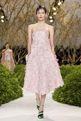 Christian Dior Spring 2013 Couture
