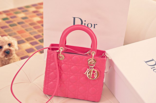 Lady Dior Handbag To Fall In Love With