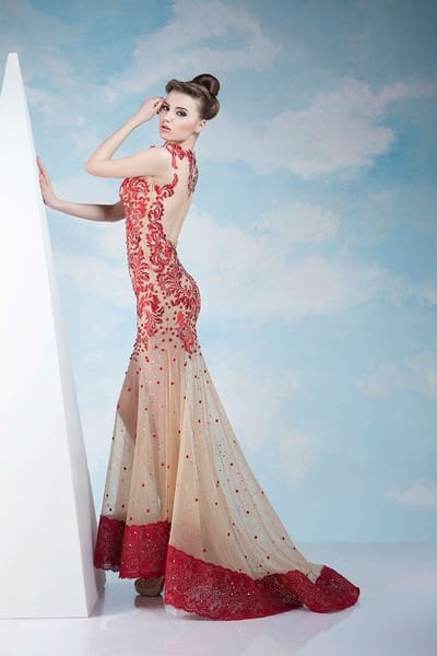 Beautiful Evening Dresses for Spring/Summer 2014 by Tony Chaaya 