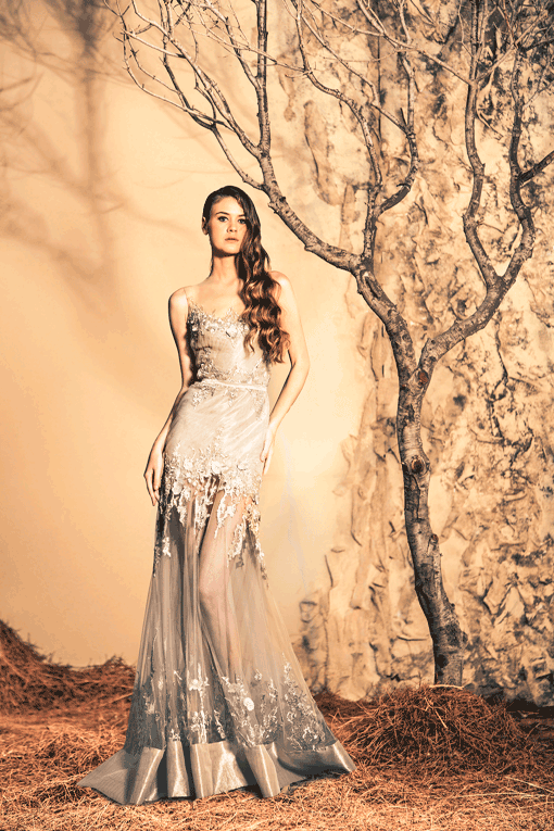 Glamorous Evening Gowns By Ziad Nakad