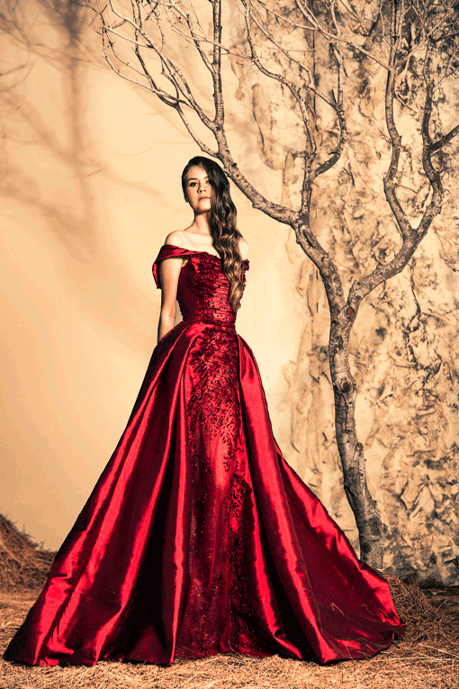 Glamorous Evening Gowns By Ziad Nakad