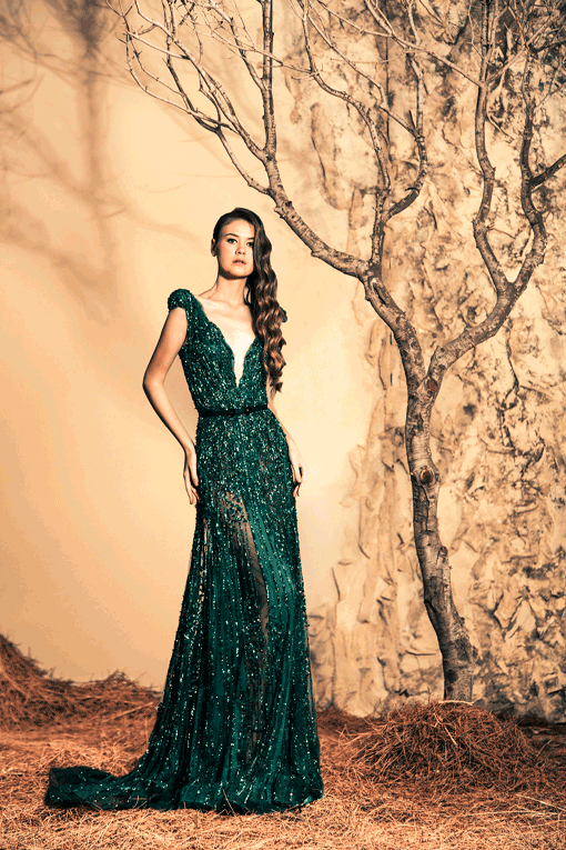 Glamorous Evening Gowns By Ziad Nakad