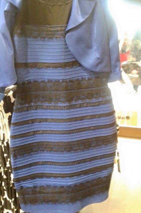 The Big Debate: What color is this dress? White with gold? Blue with black?