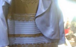 white and gold vs blue and black