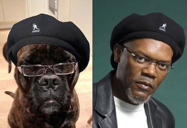 14 Lookalikes That Are Hilariously Similar To Each Other
