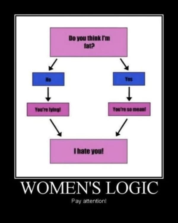14 Examples Of Female Logic