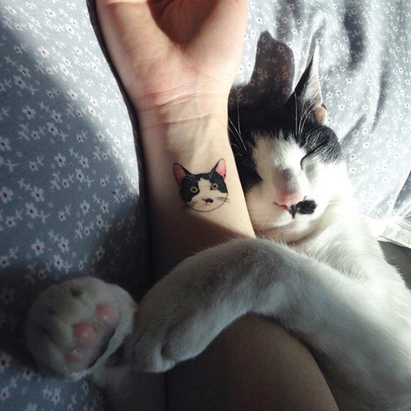 Why We Get Cat Tattoos Guide