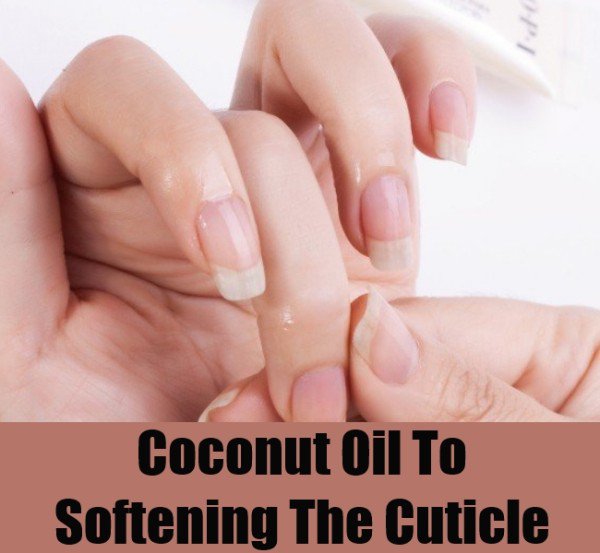 8 Beauty Uses Of Coconut Oil