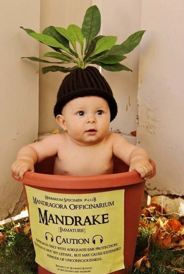 10 Absolutely The Best Baby Halloween Costumes That Are So Cute, Its Scary