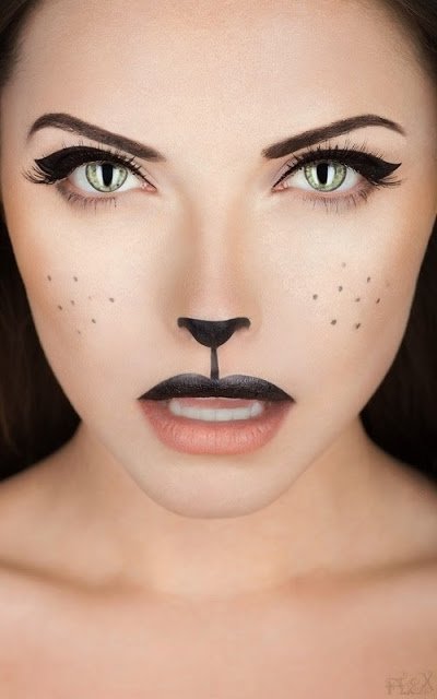 14 Fabulous DIY Halloween Costumes And Makeup Ideas That Youll Love