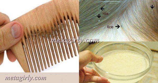 10 Incredible Must Know Beauty Tips And How Tos For Easy Beauty Routine