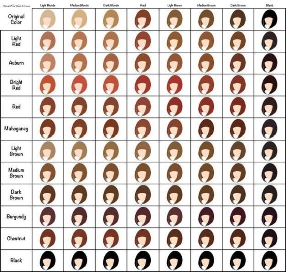 Hair Color Developer Chart