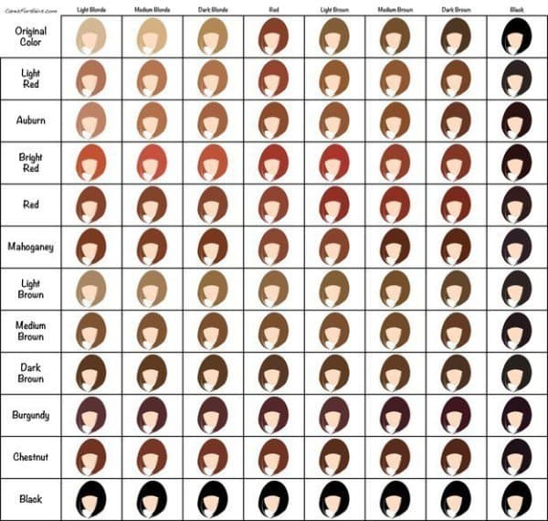 12 Ingeniously Useful Charts That Will Help You Have The Best Hair Of