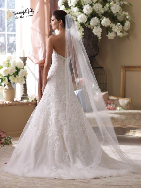 Useful Tips That You Shouldnt Miss If You Want To Wear A Long Wedding Veil