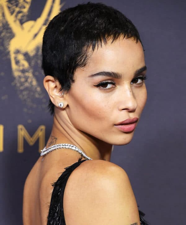 Amazingly Short Haircuts For Women That Are Currently In Style