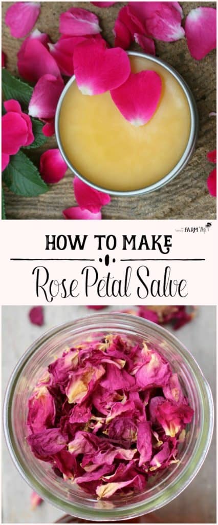 How To Use Rose Petals This Summer To Make Some Homemade Rose Beauty Products
