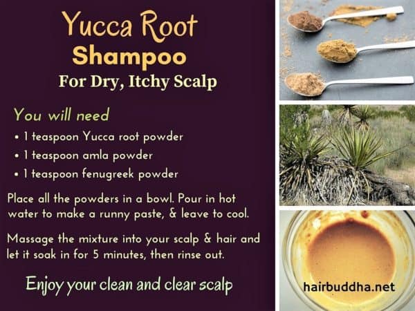 DIY Homemade Natural Anti Dandruff Shampoo