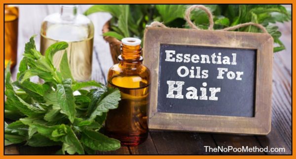 Five Natural Ingredients To Pint Your Hair Naturally