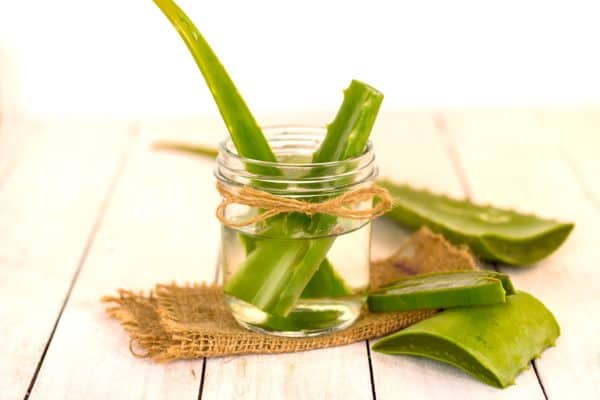 Aloe Vera Face Masks Recipes That You Can DIY At Your Own Home