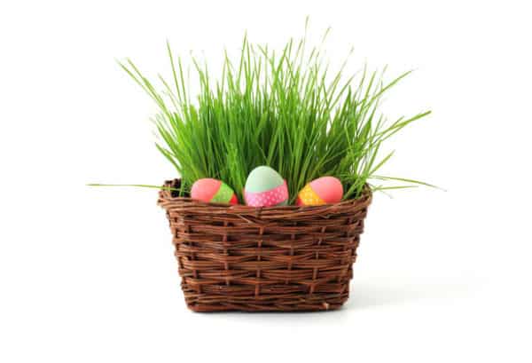 Creating the Perfect Easter Basket