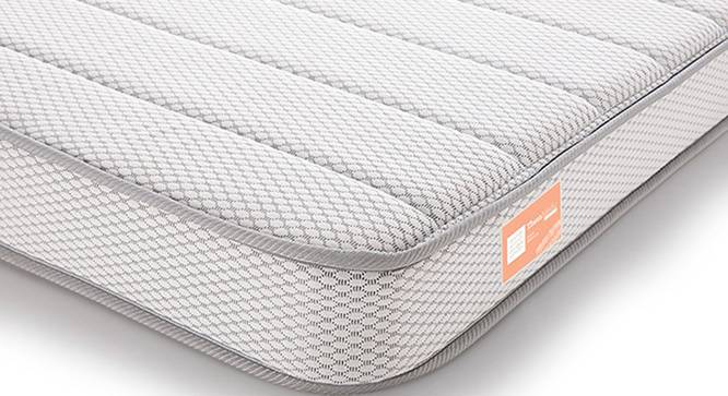 best mattress coir or foam or spring