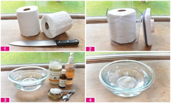 DIY Makeup Remover Ideas That Are Simply Fantastic