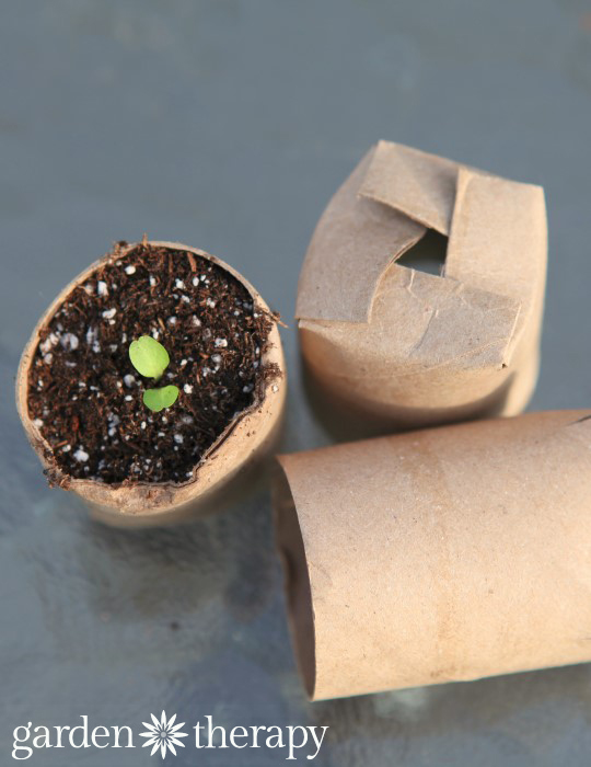 Brilliant DIY Toilet Paper Rolls Crafts That Will Make A Great Use Of The Rolls While You Are In Quarantine