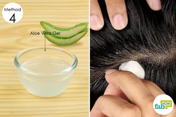 Homemade Aloe Vera Remedies That You Are Going to Love