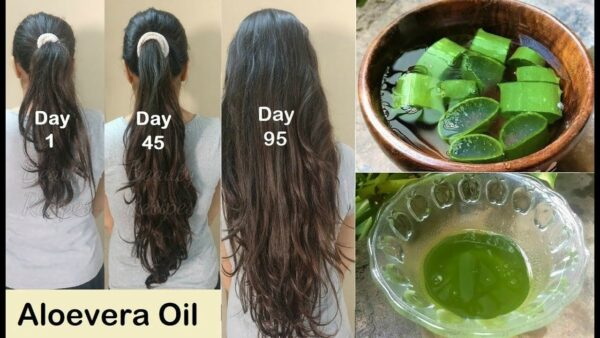 Homemade Aloe Vera Remedies That You Are Going to Love