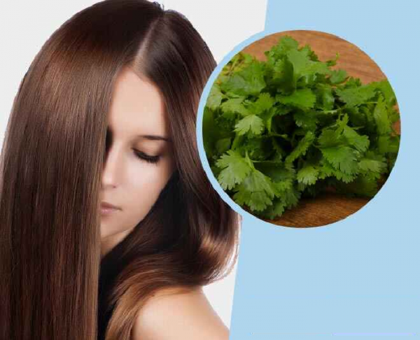 Hair Care Herbs To Grow In Your Garden