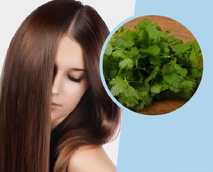 Hair Care Herbs To Grow In Your Garden - ALL FOR FASHION DESIGN