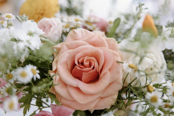 Seasonal Flower Guide for Weddings: What to Choose and When